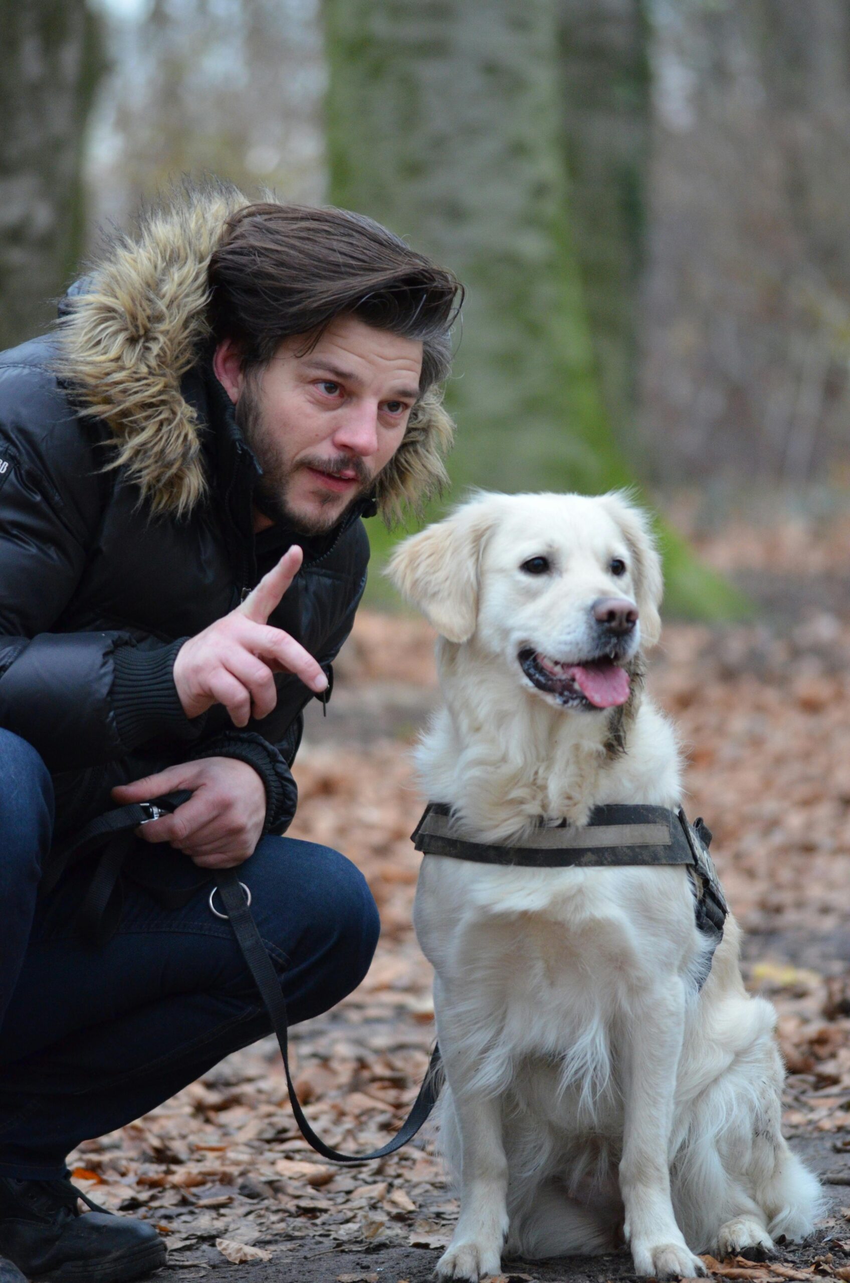 A man talking to his golden Labrador in a woodland.