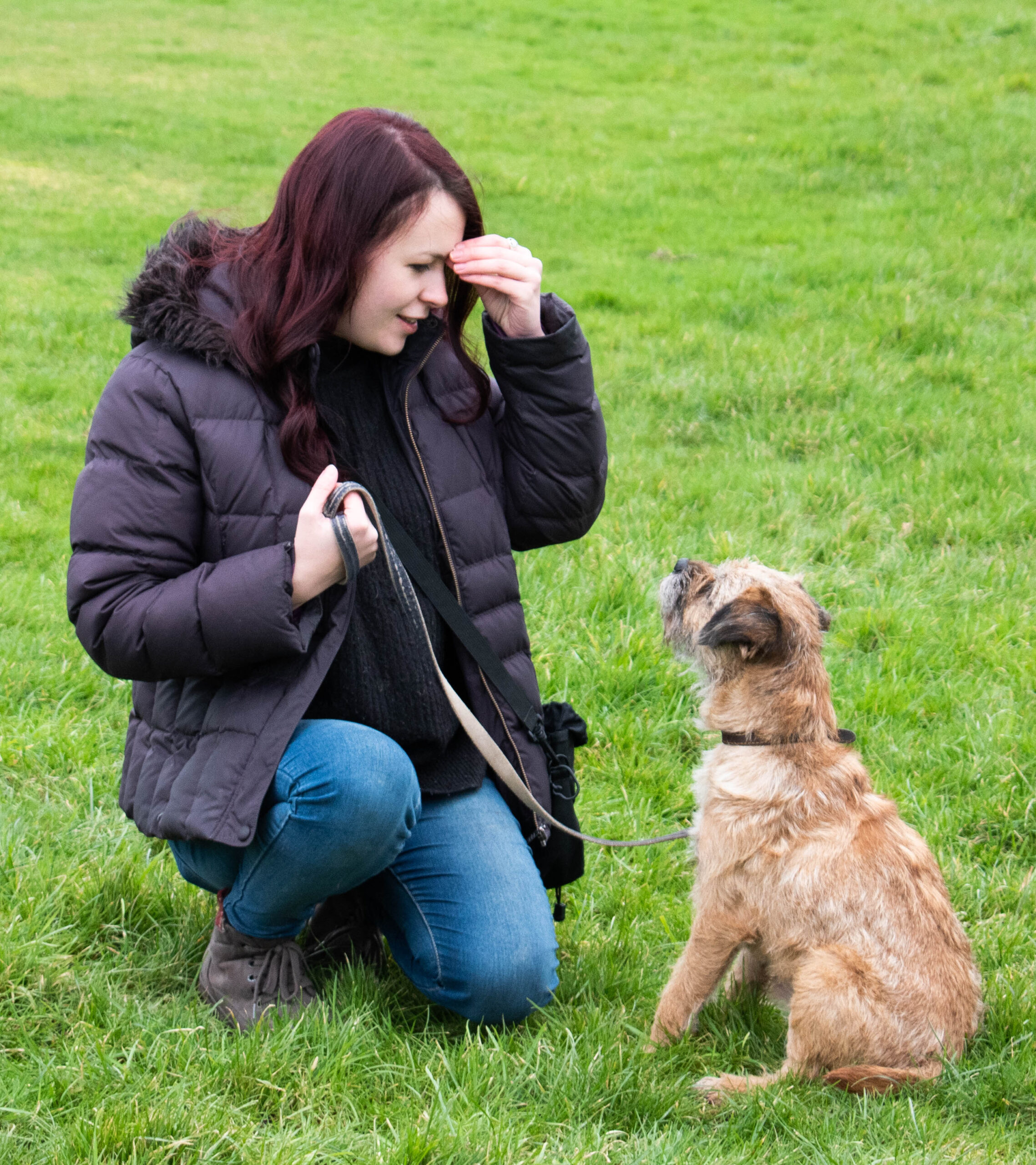 Megan Richardson teaching a Border Terrier to %22watch%22