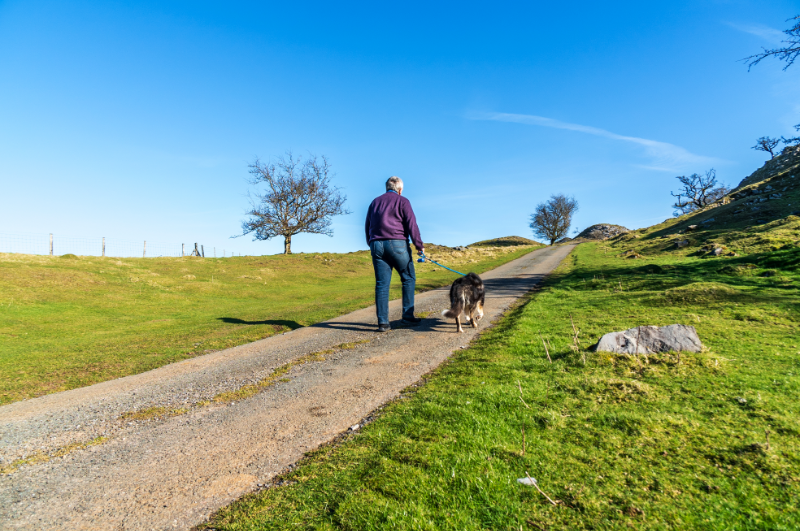 onlead moorland