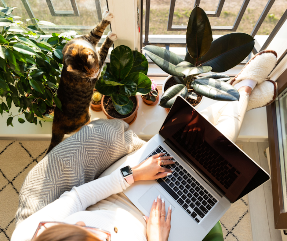 A woman on her laptop with her cat.